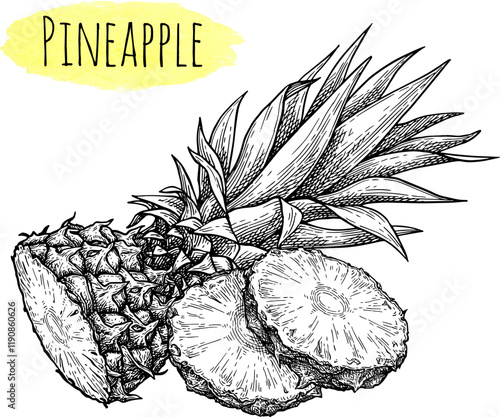 Pineapple ink sketch