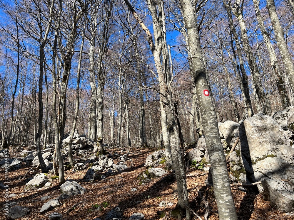 Premuzic hiking trail or Premuzic Trail - Northern Velebit National Park, Croatia or Premuzic-Wanderweg or Premuzic's Trail (Pješački planinarski put Premužićeva staza - NP Sjeverni Velebit, Hrvatska) Premuzic hiking trail or Premuzic Trail - Northern Velebit National Park, Croatia or Premuzic-Wanderweg or Premuzic's Trail (Pješački planinarski put Premužićeva staza - NP Sjeverni Velebit, Hrvatska)