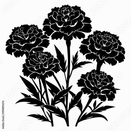 Marigold Magic Black Silhouette Vectors on White