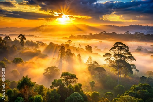 Misty Sunrise over Kakamega Forest, Kenya - Bokeh Photography photo