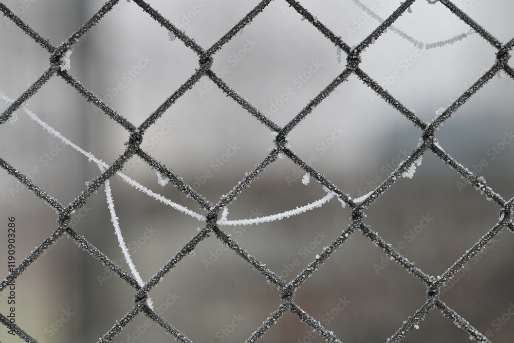 Fototapeta premium Wire fence covered in hoarfrost