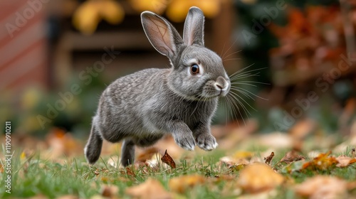 Rabbit exploring a lush garden during golden hour with colorful flowers in th...