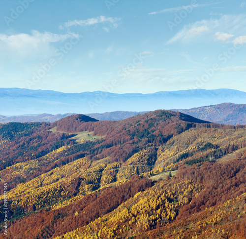 Obraz na płótnie Colored mountain slopes in autumn Carpathian. Morning misty view. w salonie
