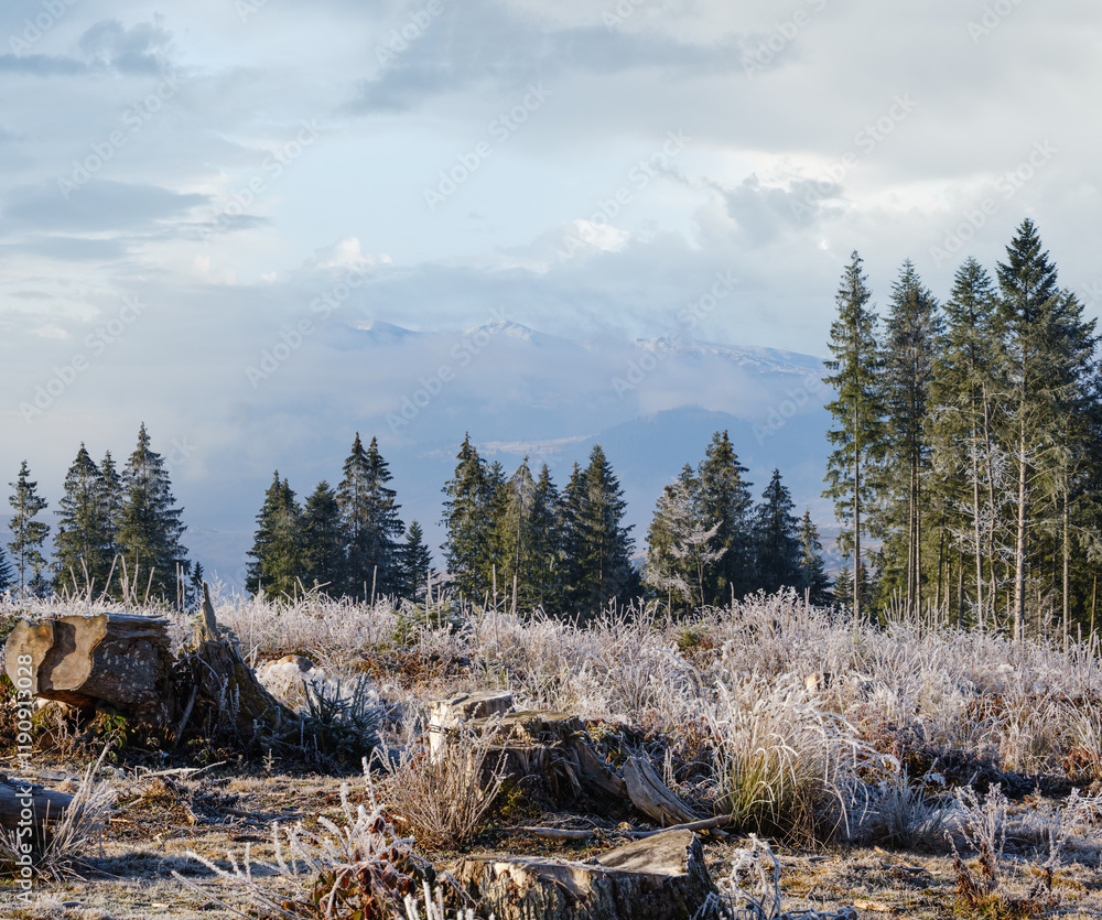 Winter coming. Last days of autumn, morning in mountain countryside peaceful picturesque hoarfrosted scene. Ukraine, Carpathian mountains.