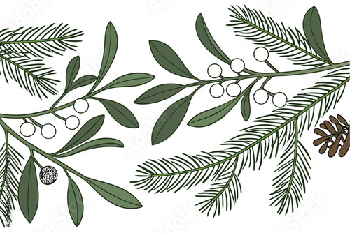 Christmas border, evergreen branches, pine needles, festive frame, white background, holiday greenery, natural decoration, spruce twigs, winter foliage, seasonal garland, fresh fir boughs, panoramic l
