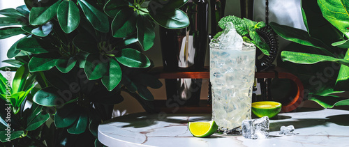 Cuadro en lienzo Ginger Rogers alcoholic cocktail drink with dry gin, mint, syrup, lemon juice, ginger ale and ice