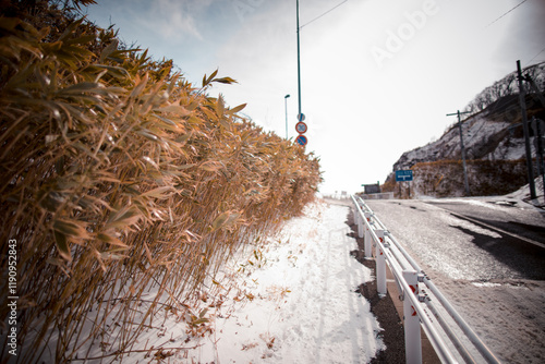 The scenery of Cape Chikiu in Muroran, Hokkaido, Japan photo