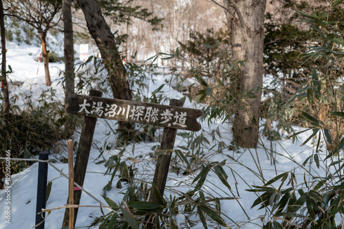 大湯沼川探勝歩道 photo