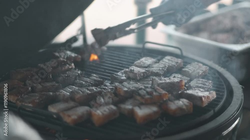 Meat on grill. Cooking Meat on Grill. Food