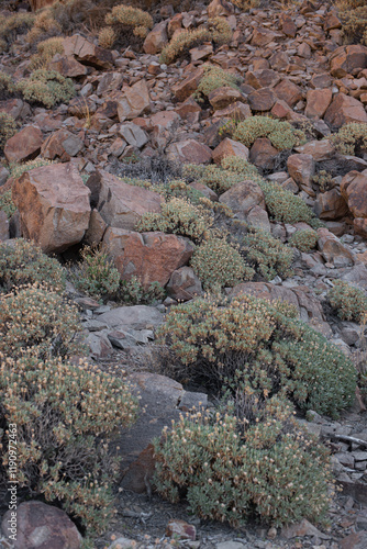 rocks