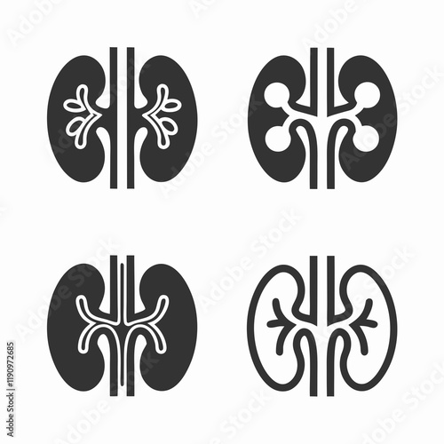Kidney Anatomy Vector Bundle Design.