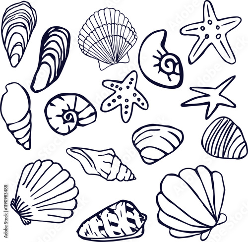 Set of Vector doodle illustration of shells and starfish