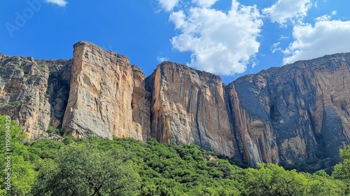 Majestic Mountain Scenery with Lush Forest photo