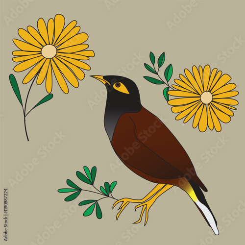 This is a myna bird of the starling family Sturnidae. This is a group of passerine birds which are native to southern Asia