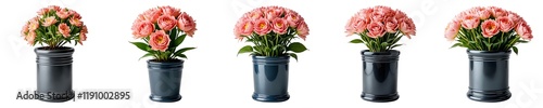 Wallpaper Mural Set of 5 Pink Carnation Flowers in Gray Pots Collection - Transparent PNG for Wedding Decor, Floral Design, Digital Art, and Commercial Marketing Torontodigital.ca