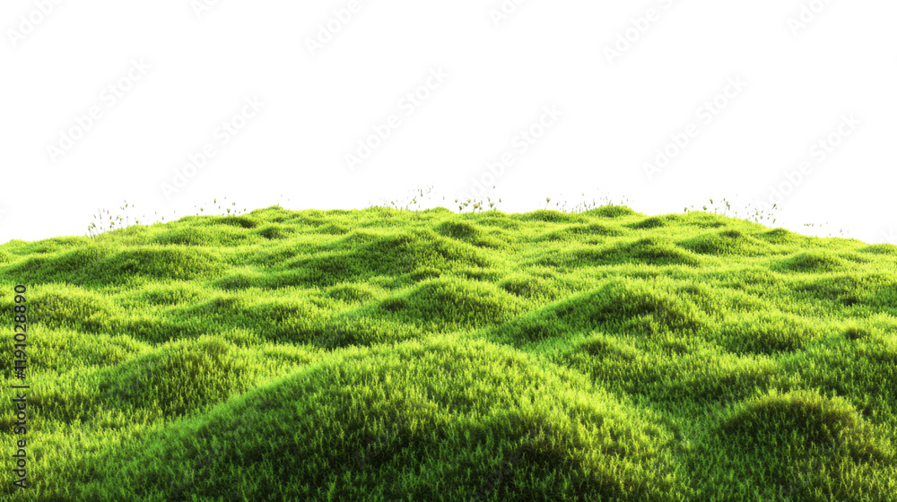 Green meadow transparent background Green meadow transparent background