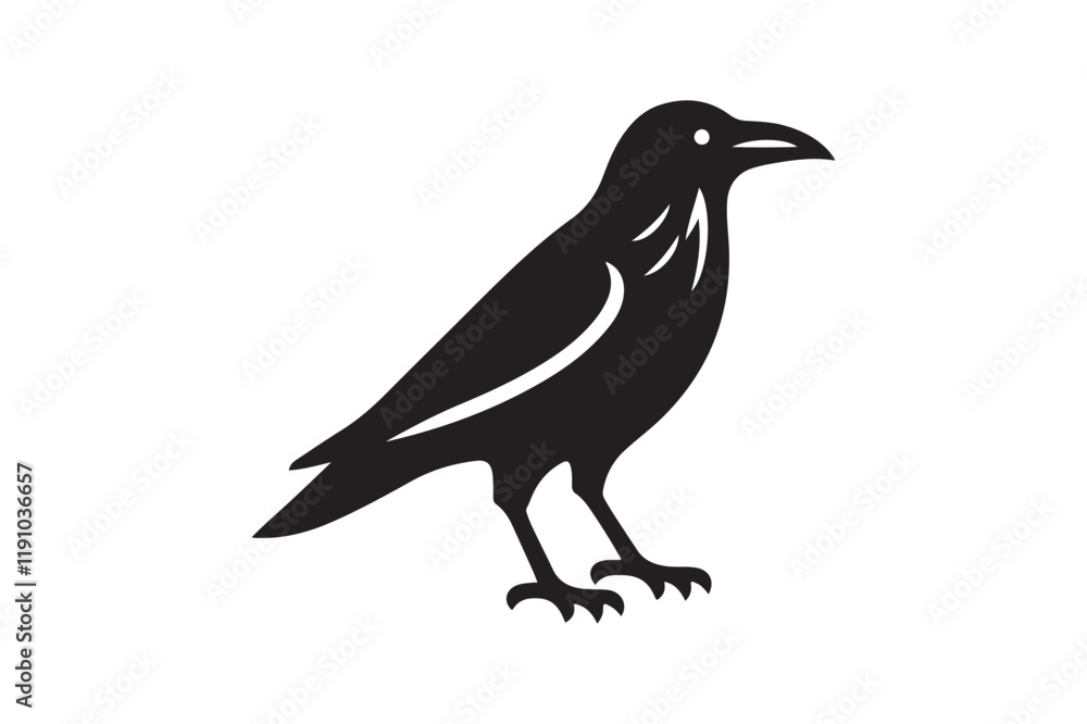 Obraz premium Crow vector silhouette artwork