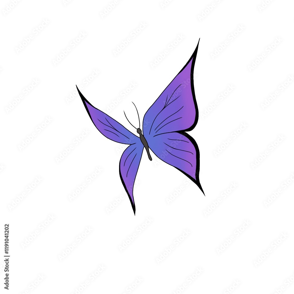 butterflay butterflay