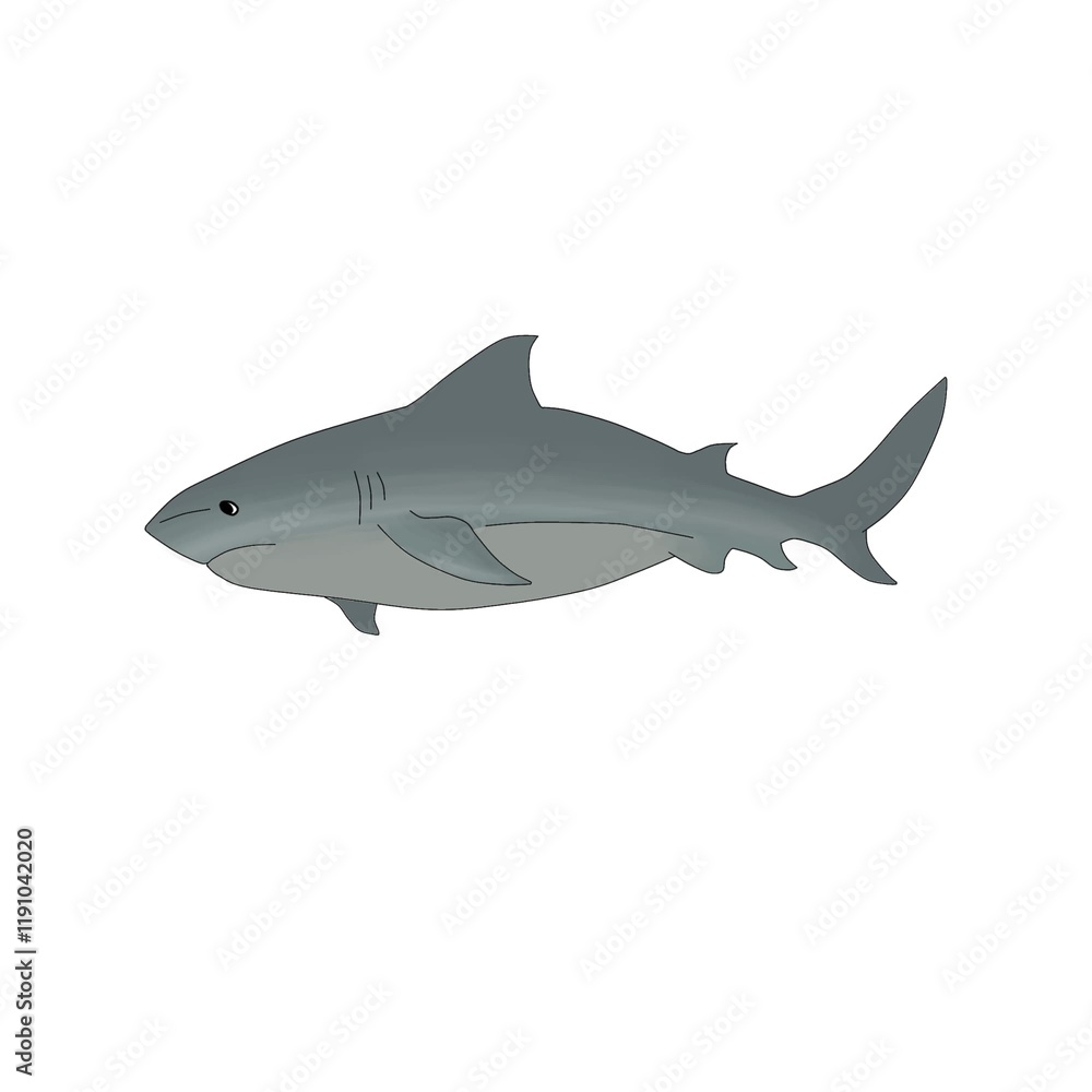 Obraz premium animals