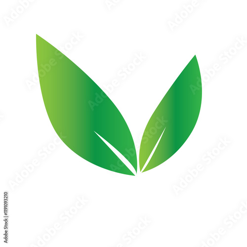 leaf icon design vector ilustration