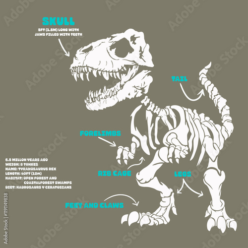 Esqueleto de dinosaurio con sus partes