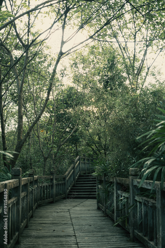 Obraz premium path in the forest