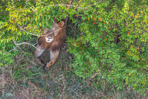 There Goes Breakfast