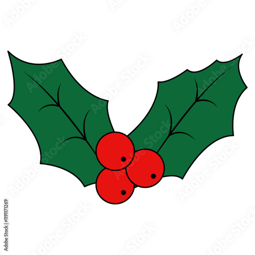 Christmas Holly Berries Illustration