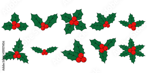 Christmas Holly Berries Illustration