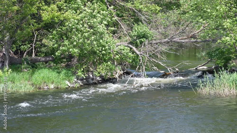 Rapids on a small river. Kalitva River, Rostov Region, Russia Rapids on a small river. Kalitva River, Rostov Region, Russia