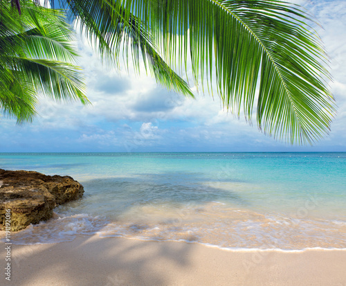 Tropical palm trees on the Caribbean beach and blue sky background.