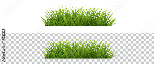 Green Grass Border And White And Transparent Background