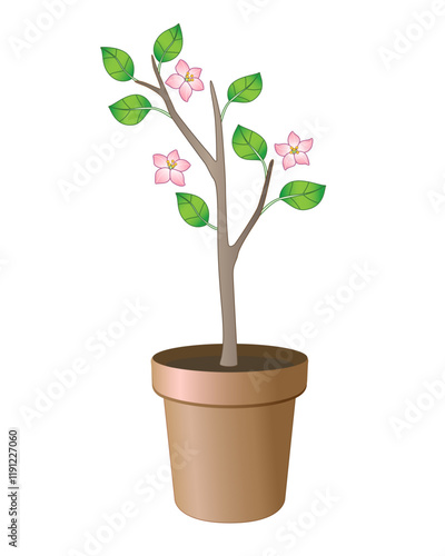 Plant in a flower pot. Blooming small tree in a ceramic flower pot. Sapling with leaves and flowers for transplanting in the spring garden - vector full color picture. Indoor plant.	