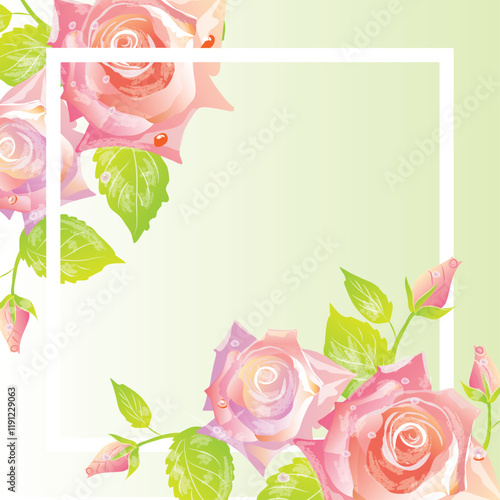 background , information about roses and frame