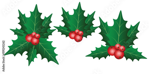 Holly berry leaves Christmas decoration isolated on white background