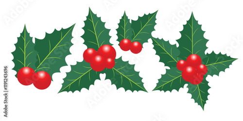 Holly berry leaves Christmas decoration isolated on white background