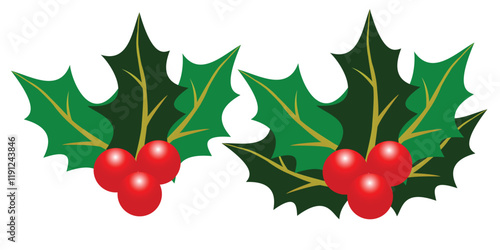 Holly berry leaves Christmas decoration isolated on white background