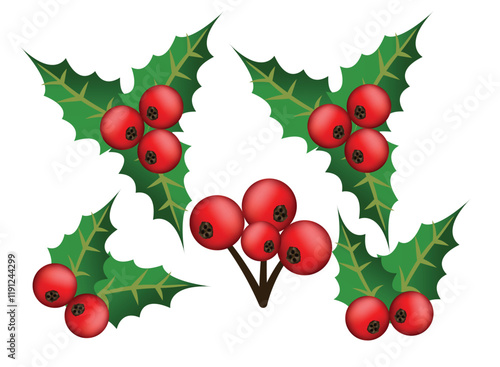 Holly berry leaves Christmas decoration isolated on white background