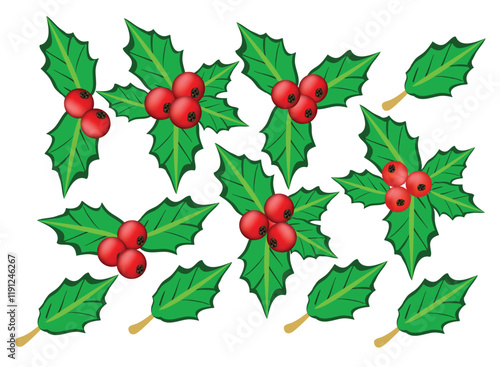 Holly berry leaves Christmas decoration isolated on white background