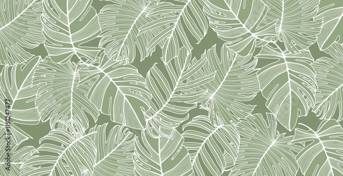 Green tropical design with monstera leaves. Vector botanical illustration