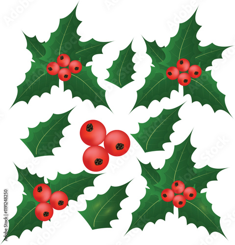 Holly berry leaves Christmas decoration isolated on white background