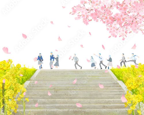 桜の木と菜の花咲く土手沿いを歩く学生男女ー土手に階段ー卒業入学ーベクターイラスト白バック背景素材