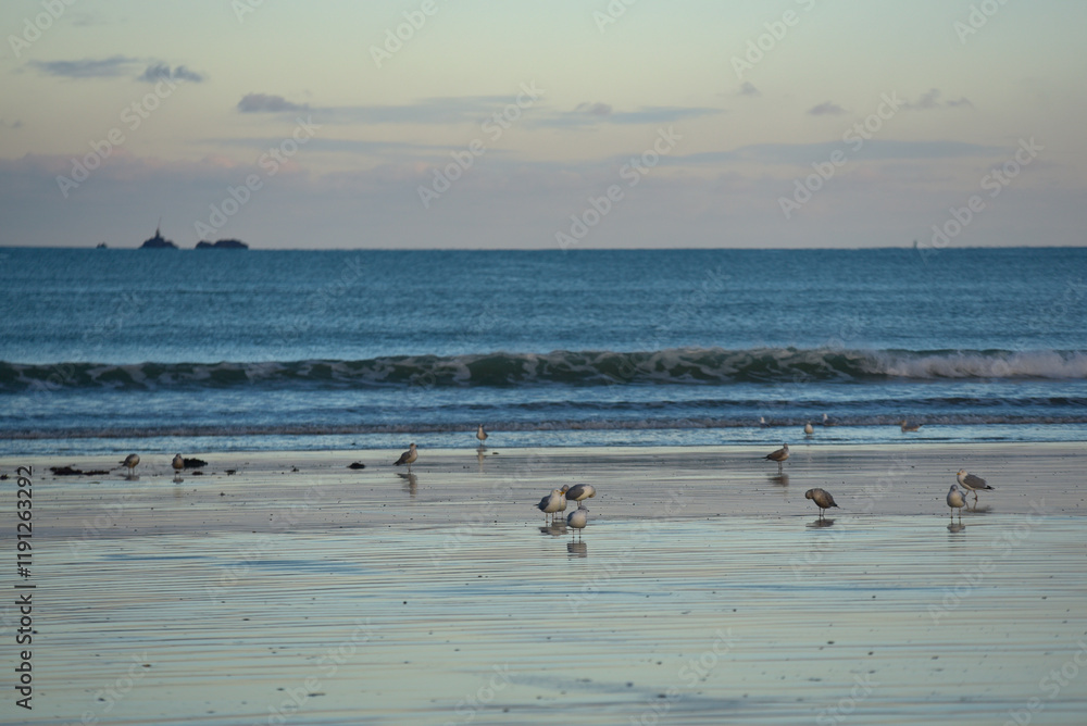 Saint-Malo en Janvier, plage du Sillon et reflets, mouettes Saint-Malo en Janvier, plage du Sillon et reflets, mouettes