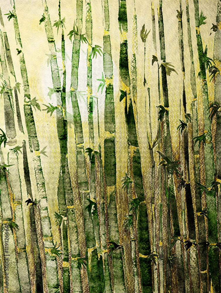 Obraz premium Bamboo grass with foliage, field with sun in background. The dabbing technique near the edges gives a soft focus effect due to the altered surface roughness of the paper.