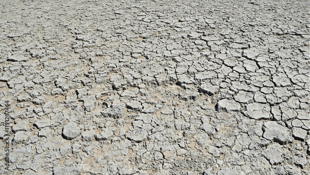 Dry desert creek with cracked mud patterns in beige and gray tones under the midday sun Dry desert creek with cracked mud patterns in beige and gray tones under the midday sun