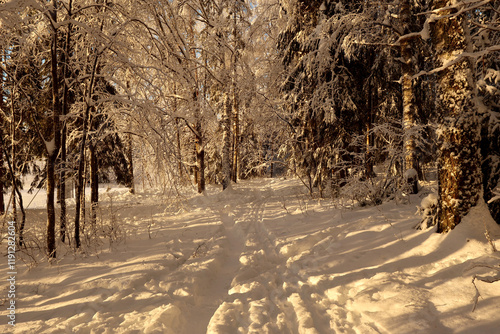 Canvas Print Winter