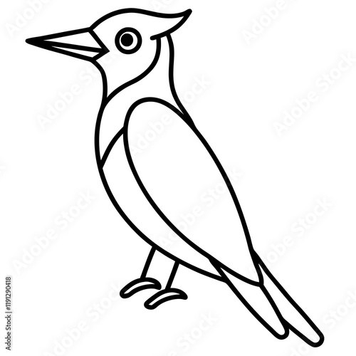 Woodpecker line art vector illustration photo