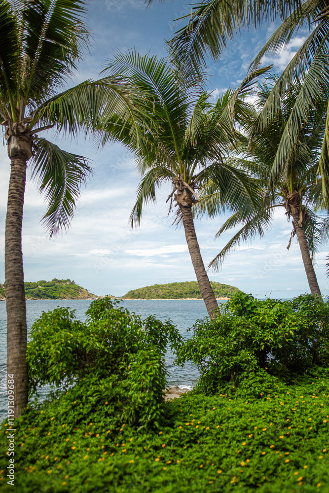 Obraz premium palm trees by the sea Asia