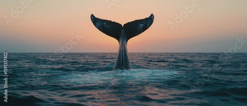 Wallpaper Mural A majestic whale tail rises from the ocean, reflecting the golden hues of sunset. This captivating scene captures the beauty of marine life and the tranquility of the sea. Torontodigital.ca