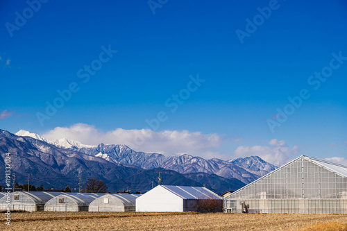 並んだ農業用ハウスと北アルプス
